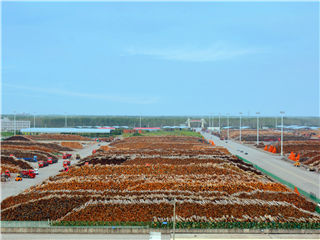 js3333线路检测中心(中国)有限公司-Official website